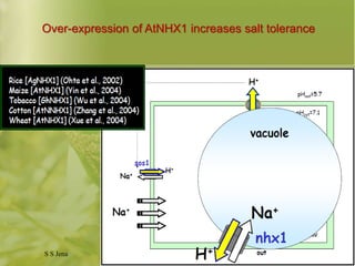 Abiotic stress resistance @ sid | PPTX