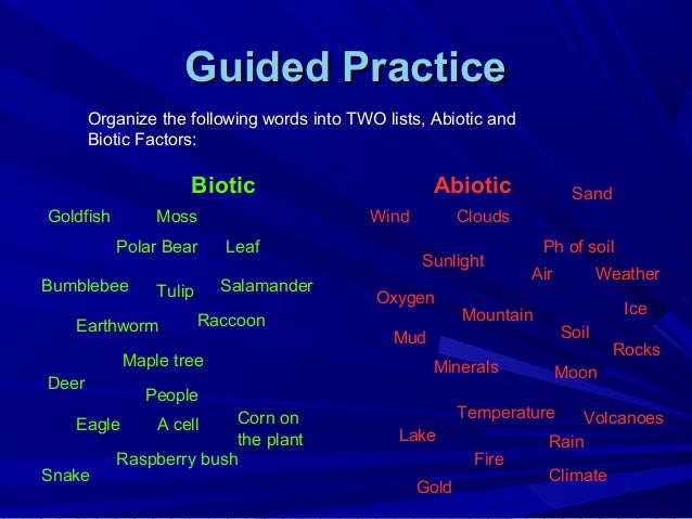 What are biotic factors?