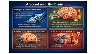 Understanding and Addressing Substance Abuse and Domestic Violence ...