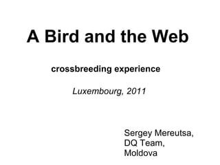 A Bird and the Web crossbreeding experience Sergey Mereutsa,  DQ Team, Moldova Luxembourg, 2011 