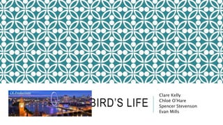 A BIRD’S LIFE
Clare Kelly
Chloë O’Hare
Spencer Stevenson
Evan Mills
 