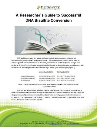 A Researcher’s Guide to Successful DNA Bisulfite Conversion DNA bisulfite conversion is a unique tool used to discriminate between methylated and unmethylated cytosines for DNA methylation studies. Only bisulfite modification of DNA followed by sequencing yields reliable information on the methylation states of individual cytosines at single base resolution. The bisulfite modification technique uses bisulfite salt to deaminate cytosine residues on single- stranded DNA, converting them to uracil while leaving 5-methylcytosine unchanged (Figure 1). Figure 1. Example sequence of an unmethylated or methylated DNA template after bisulfite conversion. mC = methylated cytosine. To effectively and efficiently prepare converted DNA for use in various downstream analyses, an ideal DNA bisulfite modification method should be: (1) highly accurate to allow for the complete conversion of cytosine to uracil (correct conversion) without deamination of methylcytosine to thymine (incorrect conversion); (2) conservative enough to allow for minimal DNA degradation and (3) rapid enough to enable the bisulfite process to be as short as possible. 
110 Bi County Boulevard, Suite 122, Farmingdale, NY 11735 Tel: (877) 374-4368 • Fax: (718) 484-3956 • Email: info@epigentek.com • Web: www.epigentek.com 
 