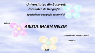 Universitatea din Bucuresti
Facultatea de Geografie
Specializare geografia turismului
Referat:
ABISUL MARIANELOR
Student:Dinu Mihaela Lenuta
Grupa:107
2015
 
