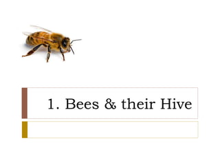 1. Bees & their Hive
 