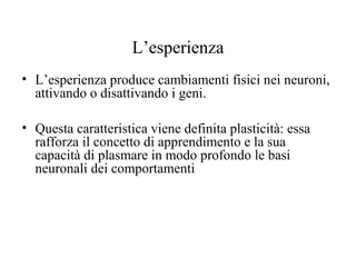 L’esperienza
• L’esperienza produce cambiamenti fisici nei neuroni,
attivando o disattivando i geni.
• Questa caratteristica viene definita plasticità: essa
rafforza il concetto di apprendimento e la sua
capacità di plasmare in modo profondo le basi
neuronali dei comportamenti

 