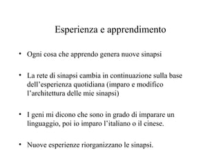 Esperienza e apprendimento
• Ogni cosa che apprendo genera nuove sinapsi
• La rete di sinapsi cambia in continuazione sulla base
dell’esperienza quotidiana (imparo e modifico
l’architettura delle mie sinapsi)
• I geni mi dicono che sono in grado di imparare un
linguaggio, poi io imparo l’italiano o il cinese.
• Nuove esperienze riorganizzano le sinapsi.

 