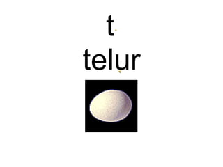 t
telur
 
