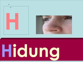 H
Hidung
 