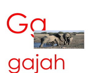 Gg
gajah
 