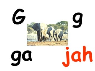 G    g
ga   jah
 