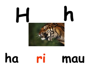 H        h

ha   ri   mau
 