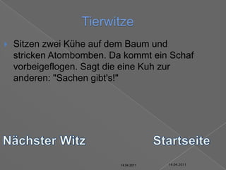 14.04.2011TierwitzeSitzen zwei Kühe auf dem Baum und stricken Atombomben. Da kommt ein Schaf vorbeigeflogen. Sagt die eine Kuh zur anderen: "Sachen gibt's!"Nächster WitzStartseite14.04.201114.04.201114.04.201114.04.201114.04.201114.04.2011