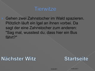 14.04.2011TierwitzeGehen zwei Zahnstocher im Wald spazieren. Plötzlich läuft ein Igel an ihnen vorbei. Da sagt der eine Zahnstocher zum anderen: "Sag mal, wusstest du, dass hier ein Bus fährt?"Nächster WitzStartseite14.04.201114.04.201114.04.201114.04.201114.04.201114.04.2011
