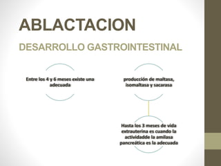 ABLACTACION
DESARROLLO GASTROINTESTINAL
Entre los 4 y 6 meses existe una
adecuada
producción de maltasa,
isomaltasa y sacarasa
Hasta los 3 meses de vida
extrauterina es cuando la
actividadde la amilasa
pancreática es la adecuada
 