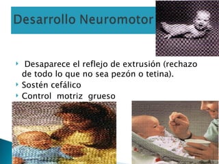 Desaparece el reflejo de extrusión (rechazo  de todo lo que no sea pezón o tetina). Sostén cefálico Control  motriz  grueso 