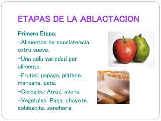 ETAPAS DE LA ABLACTACION 
Primera Etapa. 
-Alimentos de consistencia 
extra suave. 
-Una sola variedad por 
alimento. 
-Frutas: papaya, plátano, 
manzana, pera. 
-Cereales: Arroz, avena. 
-Vegetales: Papa, chayote, 
calabacita, zanahoria. 
 
