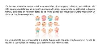 En los tres o cuatro meses edad, esta cantidad alcanza para cubrir las necesidades del
niño pero a medida que el lactante aumenta de peso, incrementa su actividad y duerme
menos, entonces el volumen total de la leche puede ser insuficiente para mantener un
ritmo de crecimiento óptimo.
Si ese momento no se incorpora a la dieta fuentes de energía, el niño corre el riesgo de
recurrir a sus tejidos de reserva para satisfacer sus necesidades.
 