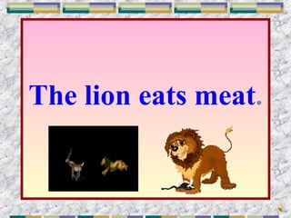 The lion eats meat.
 