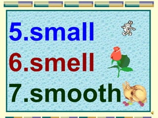 5.small
6.smell
7.smooth
 