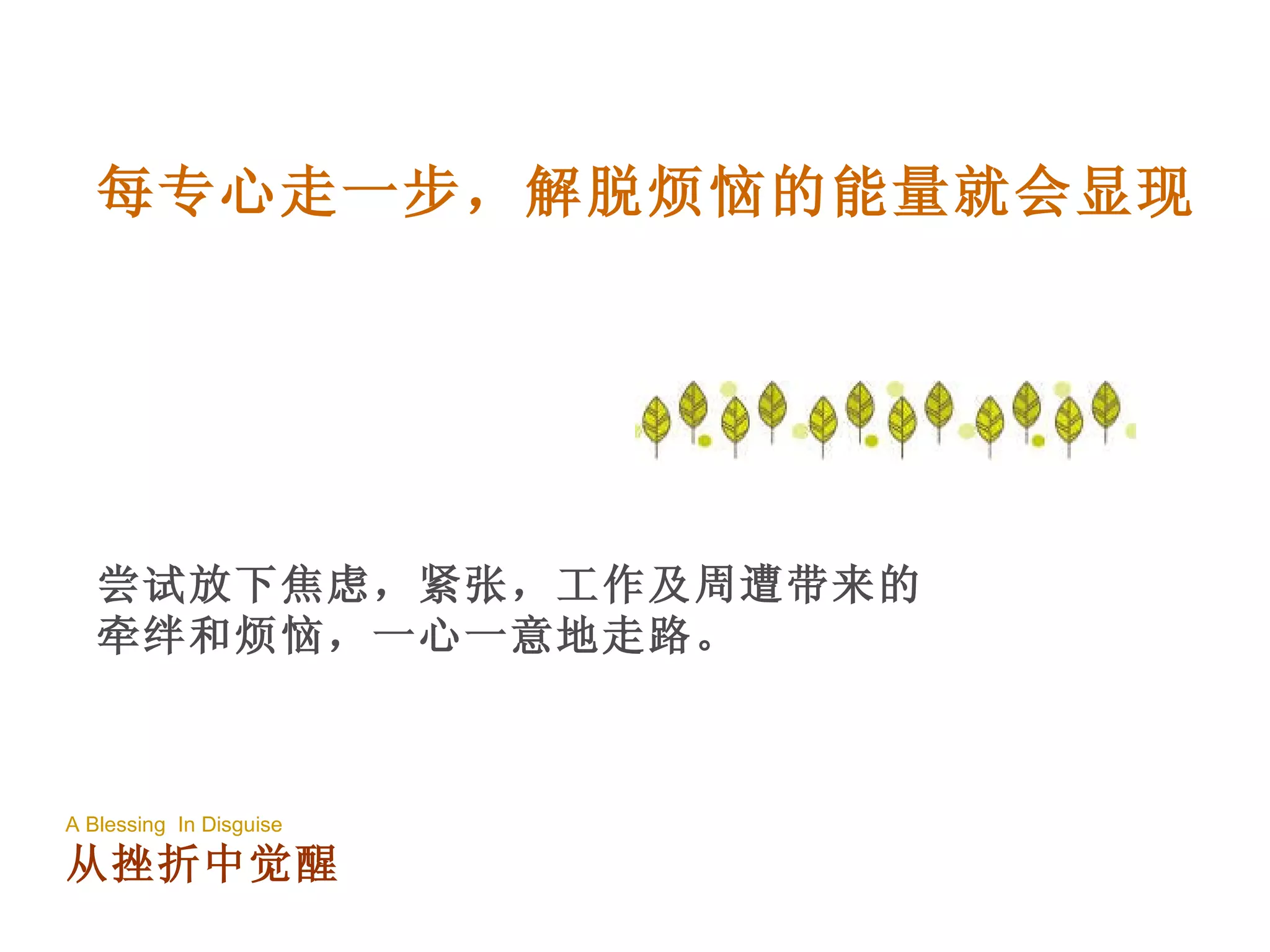 尝试放下焦虑，紧张，工作及周遭带来的牵绊和烦恼，一心一意地走路。 每专心走一步，解脱烦恼的能量就会显现 A Blessing  In Disguise 从挫折中觉醒 