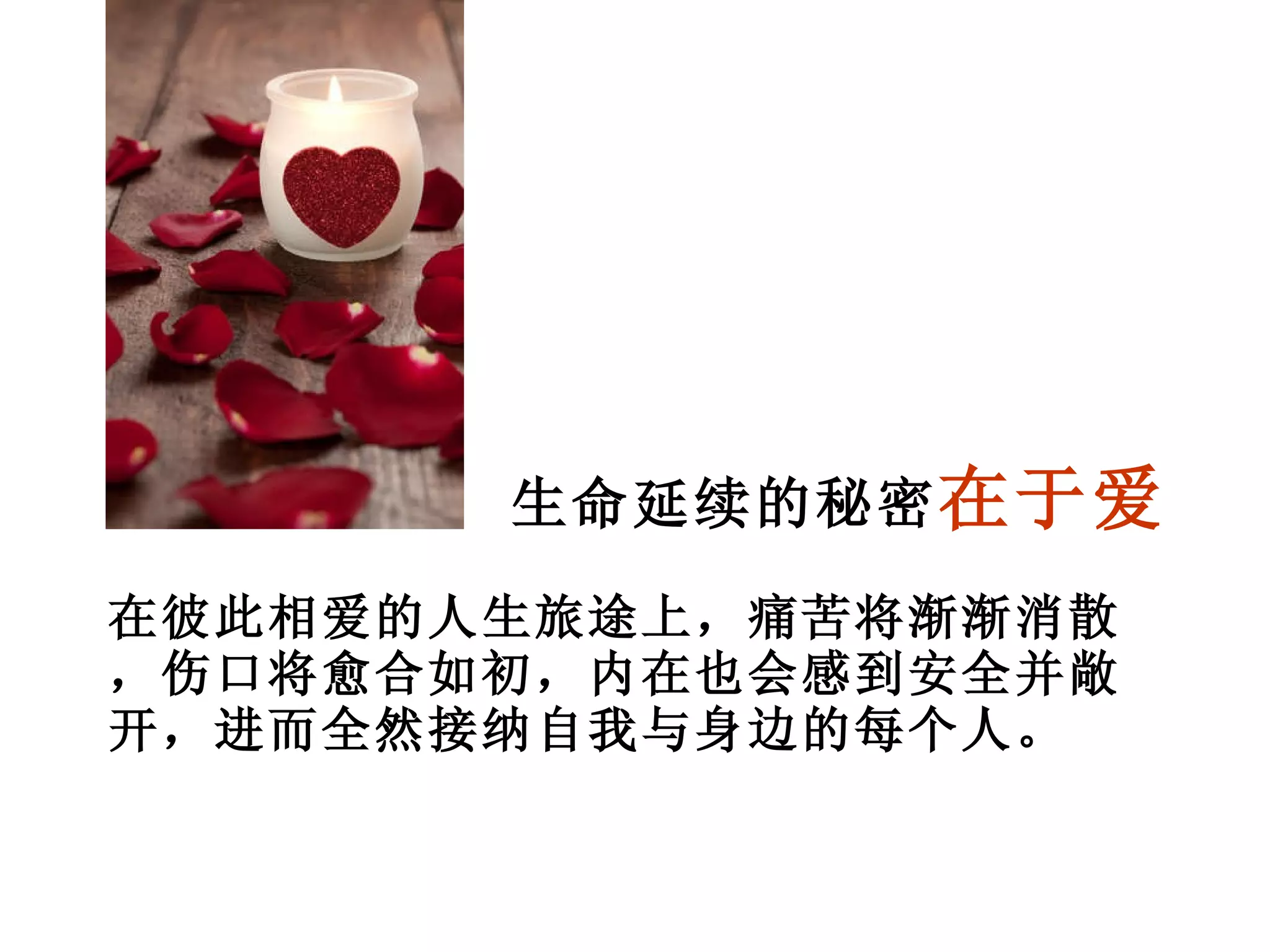 生命延续的秘密 在于爱 在彼此相爱的人生旅途上，痛苦将渐渐消散，伤口将愈合如初，内在也会感到安全并敞开，进而全然接纳自我与身边的每个人。 