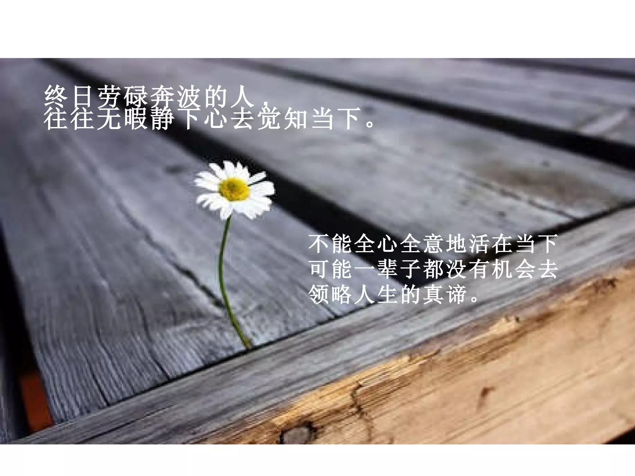 终日劳碌奔波的人 , 往往无暇静下心去觉知当下。   不能全心全意地活在当下 可能一辈子都没有机会去 领略人生的真谛。 