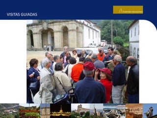 VISITAS GUIADAS
 