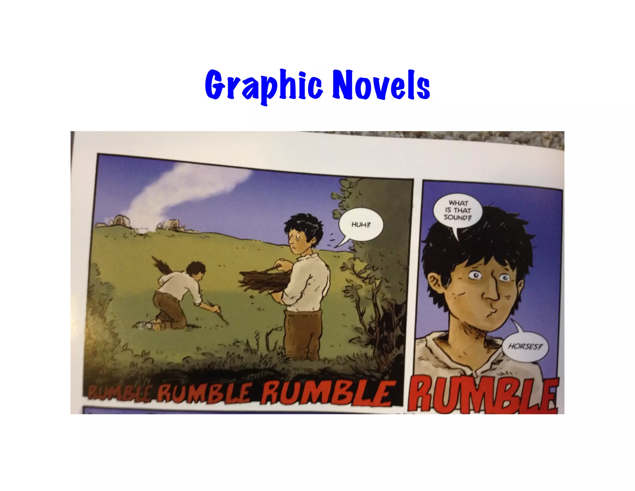 Graphic Novels 
 