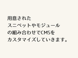 用意された
スニペットやモジュール
の組み合わせでCMSを
カスタマイズしていきます。
 