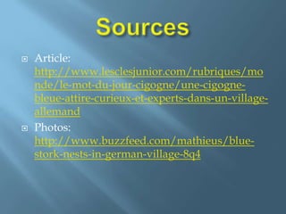 SourcesArticle: http://www.lesclesjunior.com/rubriques/monde/le-mot-du-jour-cigogne/une-cigogne-bleue-attire-curieux-et-experts-dans-un-village-allemandPhotos: http://www.buzzfeed.com/mathieus/blue-stork-nests-in-german-village-8q4