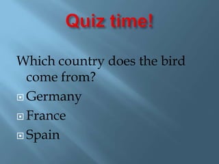 Quiz time!Which country does the bird come from?GermanyFranceSpain