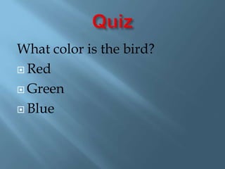 QuizWhat color is the bird?RedGreenBlue