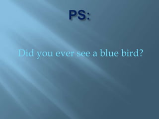 PS:Did you ever see a blue bird?