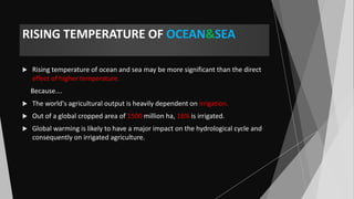 RISING TEMPERATURE OF OCEAN&SEA
 Rising temperature of ocean and sea may be more significant than the direct
effect of higher temperature.
Because….
 The world's agricultural output is heavily dependent on irrigation.
 Out of a global cropped area of 1500 million ha, 16% is irrigated.
 Global warming is likely to have a major impact on the hydrological cycle and
consequently on irrigated agriculture.
 