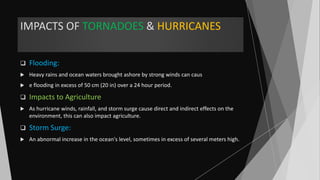 IMPACTS OF TORNADOES & HURRICANES
 Flooding:
 Heavy rains and ocean waters brought ashore by strong winds can caus
 e flooding in excess of 50 cm (20 in) over a 24 hour period.
 Impacts to Agriculture
 As hurricane winds, rainfall, and storm surge cause direct and indirect effects on the
environment, this can also impact agriculture.
 Storm Surge:
 An abnormal increase in the ocean's level, sometimes in excess of several meters high.
 