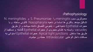 Pathophysiology
:
‫سبب‬ ‫معمولترین‬
meningitis
‫را‬
S. Pneumoniae
‫و‬
N. meningitides
‫میدهد‬ ‫تشکیل‬
.
‫ناحیه‬ ‫در‬ ‫اساسا‬ ‫ها‬ ‫بکتری‬
Nasopharynx
‫ساخته‬ ‫کالونی‬
‫با‬ ‫و‬
‫حجرات‬
Epithelial
‫فمی‬ ‫ناحیه‬
–
‫طریق‬ ‫از‬ ‫و‬ ‫میباشند‬ ‫داشته‬ ‫التصاق‬ ‫بلعومی‬
vacuoles
‫غشا‬ ‫به‬ ‫وابسته‬
‫ی‬
‫حجرات‬ ‫از‬ ‫حجروی‬
Epithelial
‫از‬ ‫مستقیما‬ ‫و‬ ‫گذشته‬
‫ساختن‬ ‫جدا‬ ‫طریق‬
Apical tight junctions
‫حجرات‬
Epithelial
‫استوانی‬
‫به‬
‫مسافات‬
‫داخل‬
‫الوعایی‬
Intravascular
‫میشوند‬ ‫ور‬ ‫حمله‬
.
12
 