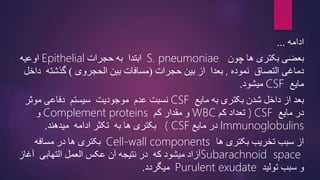 ‫ادامه‬
...
‫چون‬ ‫ها‬ ‫بکتری‬ ‫بعضی‬
S. pneumoniae
‫حجرات‬ ‫به‬ ‫ابتدا‬
Epithelial
‫اوعیه‬
‫نموده‬ ‫التصاق‬ ‫دماغی‬
,
‫حجرات‬ ‫بین‬ ‫از‬ ‫بعدا‬
(
‫الحجروی‬ ‫بین‬ ‫مسافات‬
)
‫گذشته‬
‫داخل‬
‫مایع‬
CSF
‫میشود‬
.
‫داخل‬ ‫از‬ ‫بعد‬
‫شدن‬
‫مایع‬ ‫به‬ ‫بکتری‬
CSF
‫سیستم‬ ‫موجودیت‬ ‫عدم‬ ‫نسبت‬
‫موثر‬ ‫دفاعی‬
‫مایع‬ ‫در‬
CSF
)
‫کم‬ ‫تعداد‬
WBC
‫کم‬ ‫مقدار‬ ‫و‬
Complement proteins
‫و‬
Immunoglobulins
‫مایع‬ ‫در‬
( CSF
‫میدهند‬ ‫ادامه‬ ‫تکثر‬ ‫به‬ ‫ها‬ ‫بکتری‬
.
‫ها‬ ‫بکتری‬ ‫تخریب‬ ‫سبب‬ ‫از‬
Cell-wall components
‫مسافه‬ ‫در‬ ‫ها‬ ‫بکتری‬
Subarachnoid space
‫آغاز‬ ‫التهابی‬ ‫العمل‬ ‫عکس‬ ‫آن‬ ‫نتیجه‬ ‫در‬ ‫که‬ ‫میشود‬ ‫آزاد‬
‫و‬
‫سبب‬
‫تولید‬
Purulent exudate
‫میگردد‬
.
14
 