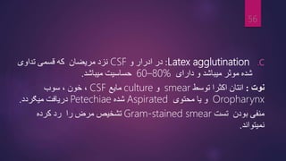 .C
Latex agglutination
:
‫ادرار‬ ‫در‬
‫و‬
CSF
‫که‬ ‫مریضان‬ ‫نزد‬
‫تداوی‬ ‫قسمی‬
‫دارای‬ ‫و‬ ‫میباشد‬ ‫موثر‬ ‫شده‬
60–80%
‫میباشد‬ ‫حساسیت‬
.
‫نوت‬
:
‫انتان‬
‫توسط‬ ‫اکثرا‬
smear
‫و‬
culture
‫مایع‬
CSF
‫سوب‬ ، ‫خون‬ ،
Oropharynx
‫یا‬ ‫و‬
‫محتوی‬
Aspirated
‫شده‬
Petechiae
‫دریافت‬
‫میګردد‬
.
‫منفی‬
‫تست‬ ‫بودن‬
Gram-stained smear
‫کرده‬ ‫رد‬ ‫را‬ ‫مرض‬ ‫تشخیص‬
‫نمیتواند‬
.
56
 