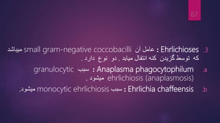 .3
Ehrlichioses
:
‫آن‬ ‫عامل‬
small gram-negative coccobacilli
‫میباشد‬
‫که‬
‫توسط‬
‫گزیدن‬
‫کنه‬
‫میابد‬ ‫انتفال‬
.
‫دو‬
‫دارد‬ ‫نوع‬
.
.a
Anaplasma phagocytophilum
:
‫سبب‬
granulocytic
ehrlichiosis (anaplasmosis)
‫میشود‬
.
.b
Ehrlichia chaffeensis
:
‫سبب‬
monocytic ehrlichiosis
‫میشود‬
.
67
 