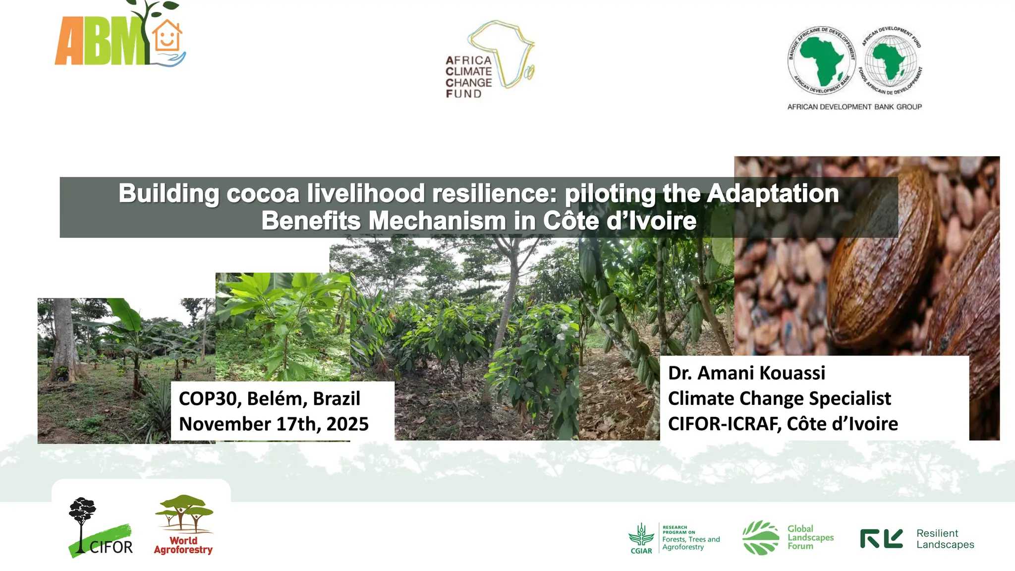 thumbnail of Building cocoa livelihood resilience: piloting the Adaptation Benefits Mechanism in Côte d’Ivoire
