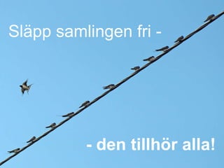 Släpp samlingen fri - - den tillhör alla! 