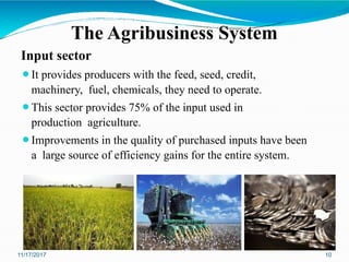 Introduction to Agribusiness management L1 | PPTX