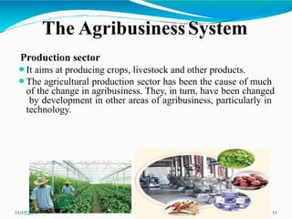 Introduction to Agribusiness management L1 | PPTX