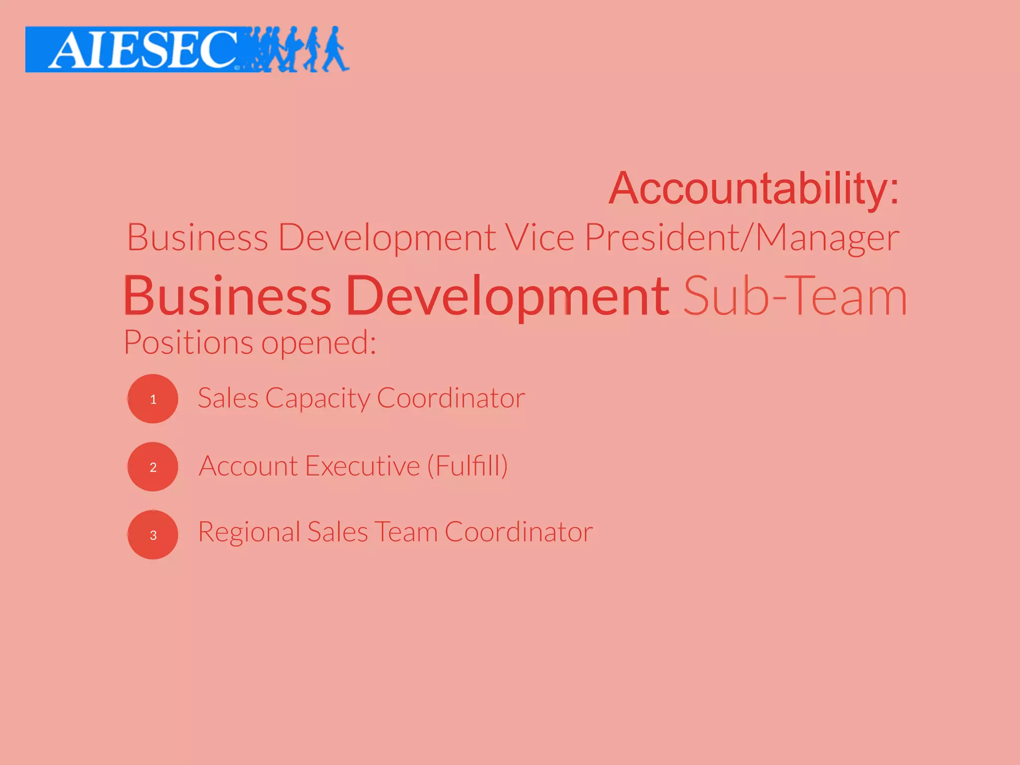 Business Development Sub-Team
Positions opened:
Accountability:
Business Development Vice President/Manager
1
2 Account Executive (Fulﬁll)
Regional Sales Team Coordinator3
Sales Capacity Coordinator
 
