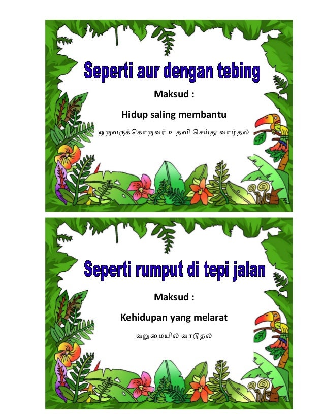 Seperti Rumput Di Tepi Jalan - jet-skaa