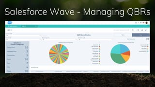 Salesforce Wave - Managing QBRs
 
