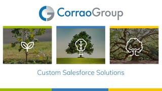 Custom Salesforce Solutions
 