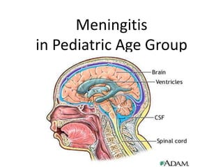 Meningitis
in Pediatric Age Group
 