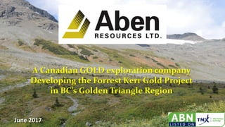 A Canadian GOLD exploration company
Developing the Forrest Kerr Gold Project
in BC’s Golden Triangle Region
June 2017
1
 