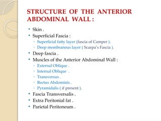 STRUCTURE OF THE ANTERIOR
ABDOMINAL WALL :
 Skin .
 Superficial Fascia :
◦ Superficial fatty layer (fascia of Camper ).
◦ Deep membranous layer ( Scarpa’s Fascia ).
 Deep fascia .
 Muscles of the Anterior Abdominal Wall :
◦ External Oblique .
◦ Internal Oblique .
◦ Transversus .
◦ Rectus Abdominis .
◦ Pyramidalis ( if present ).
 Fascia Transversalis .
 Extra Peritonial fat .
 Parietal Peritoneum .
 